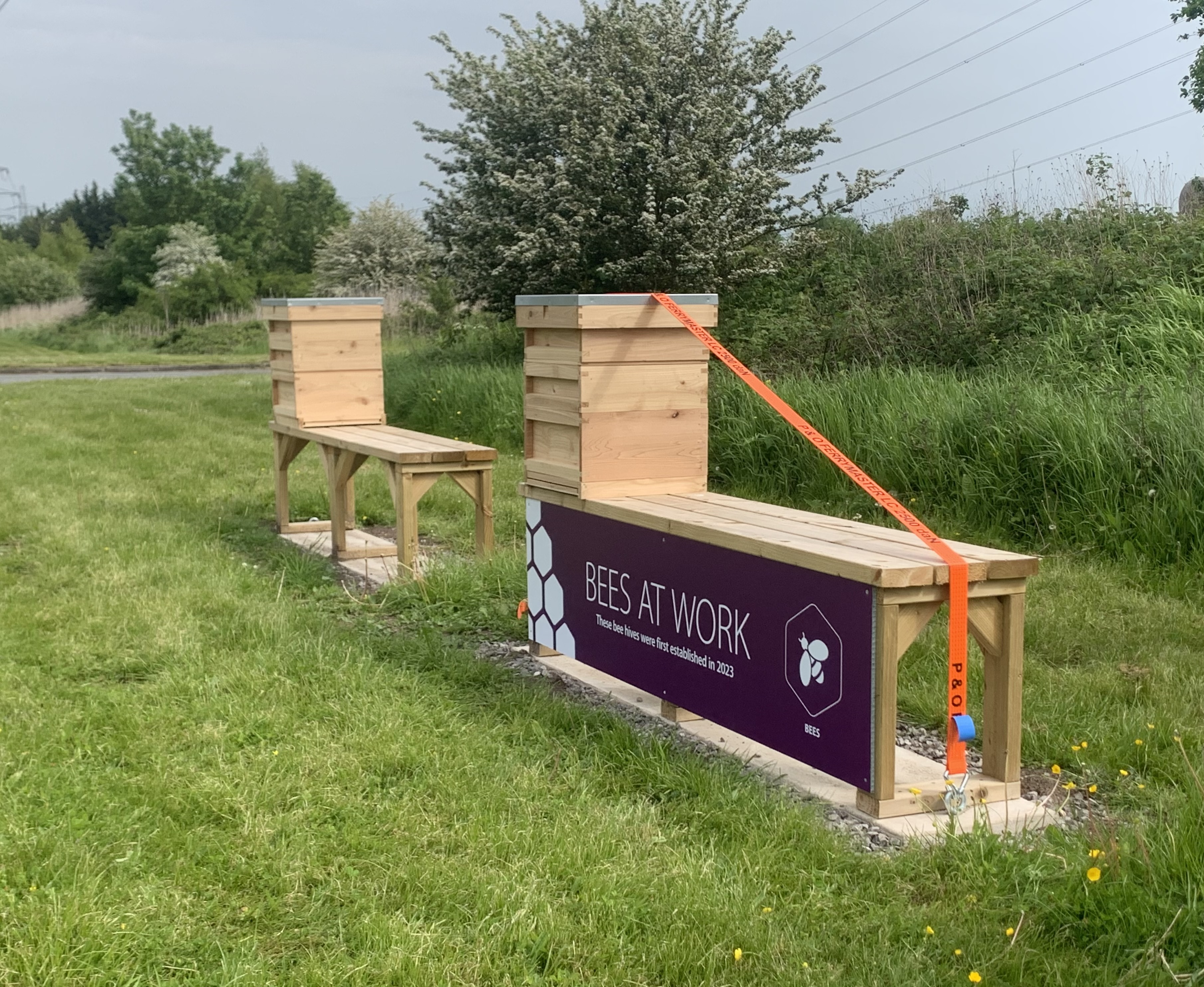 Bees at work in Shotton