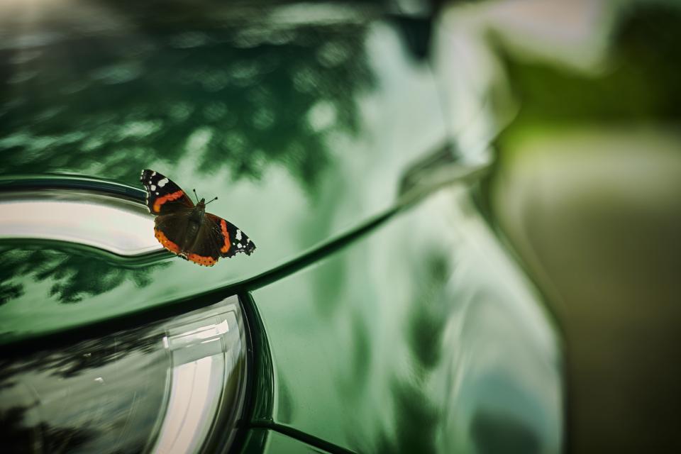 Sustainability green car butterfly