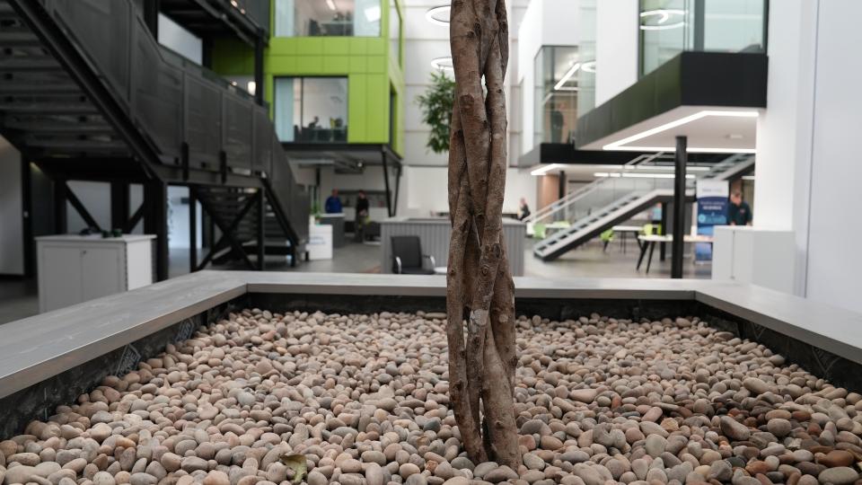 Building Systems UK Office Tree